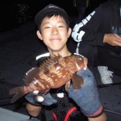 シーマジカル 釣果