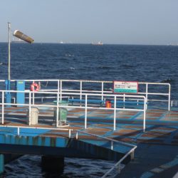 オリジナルメーカー海づり公園(市原市海づり施設) 釣果