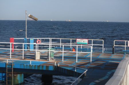 オリジナルメーカー海づり公園(市原市海づり施設) 釣果