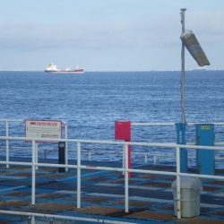 オリジナルメーカー海づり公園(市原市海づり施設) 釣果