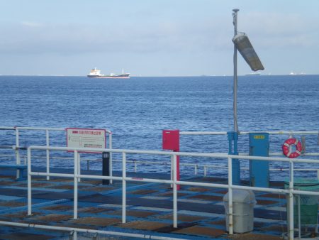 オリジナルメーカー海づり公園(市原市海づり施設) 釣果