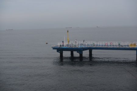 オリジナルメーカー海づり公園(市原市海づり施設) 釣果
