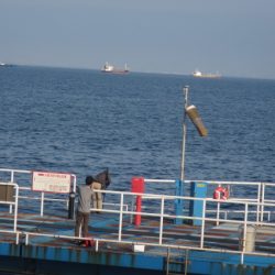 オリジナルメーカー海づり公園(市原市海づり施設) 釣果
