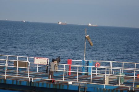 オリジナルメーカー海づり公園(市原市海づり施設) 釣果
