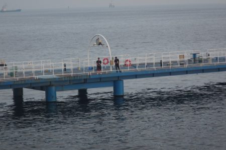 オリジナルメーカー海づり公園(市原市海づり施設) 釣果