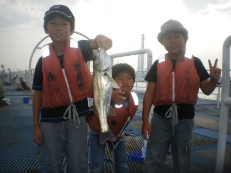 オリジナルメーカー海づり公園(市原市海づり施設) 釣果