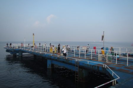 オリジナルメーカー海づり公園(市原市海づり施設) 釣果