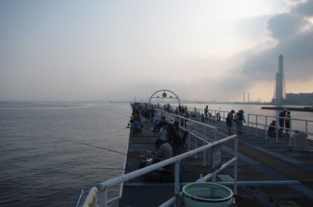 オリジナルメーカー海づり公園(市原市海づり施設) 釣果