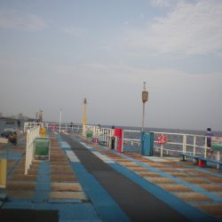 オリジナルメーカー海づり公園(市原市海づり施設) 釣果