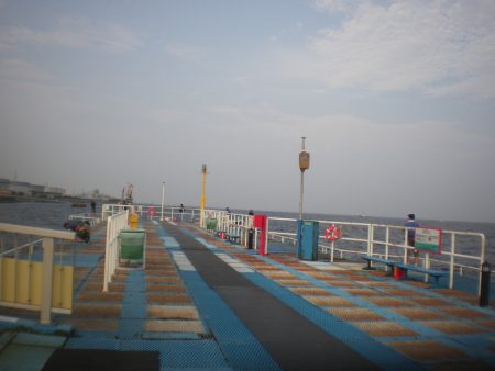 オリジナルメーカー海づり公園(市原市海づり施設) 釣果