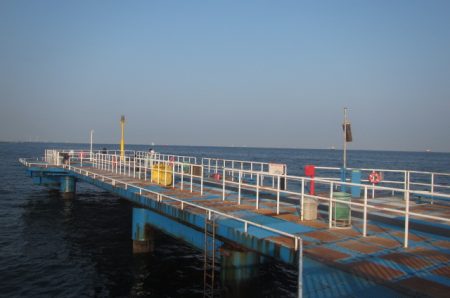 オリジナルメーカー海づり公園(市原市海づり施設) 釣果