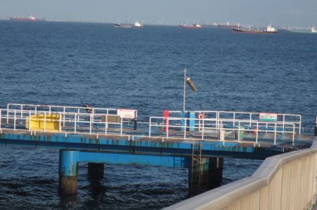 オリジナルメーカー海づり公園(市原市海づり施設) 釣果