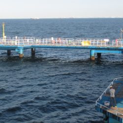 オリジナルメーカー海づり公園(市原市海づり施設) 釣果