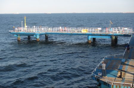 オリジナルメーカー海づり公園(市原市海づり施設) 釣果