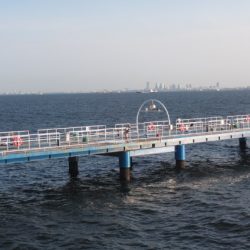 オリジナルメーカー海づり公園(市原市海づり施設) 釣果