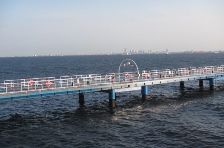 オリジナルメーカー海づり公園(市原市海づり施設) 釣果