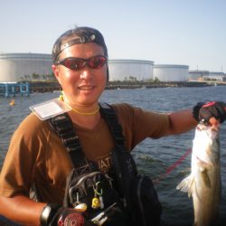 オリジナルメーカー海づり公園(市原市海づり施設) 釣果