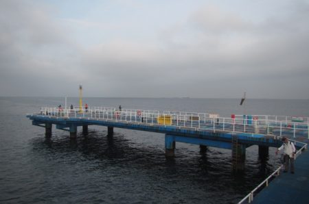 オリジナルメーカー海づり公園(市原市海づり施設) 釣果
