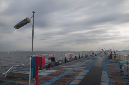 オリジナルメーカー海づり公園(市原市海づり施設) 釣果