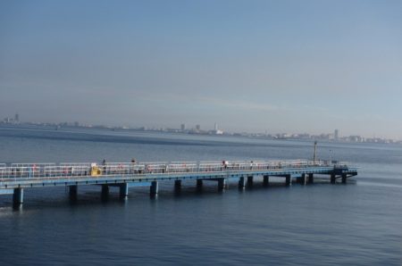 オリジナルメーカー海づり公園(市原市海づり施設) 釣果
