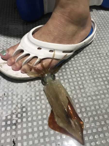 寿裕 （YOSHIHIRO） 釣果