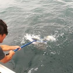 IDATEN（イダテン） 釣果