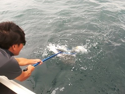 IDATEN（イダテン） 釣果