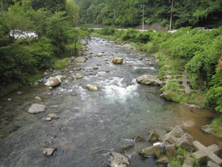 狩野川(狩野川漁業協同組合) 釣果