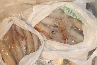 松福丸 釣果