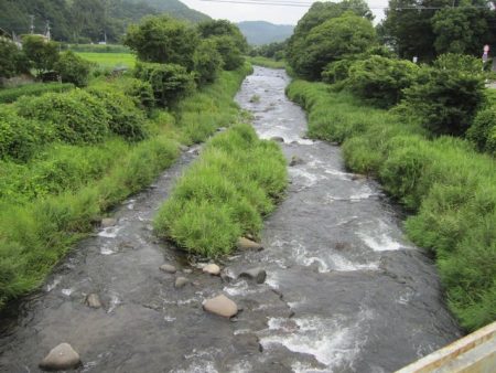 狩野川(狩野川漁業協同組合) 釣果