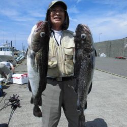 大進丸(新潟) 釣果