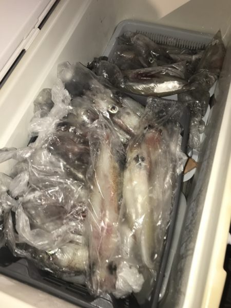 寿裕 （YOSHIHIRO） 釣果