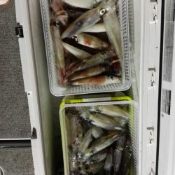 第二大福丸 釣果