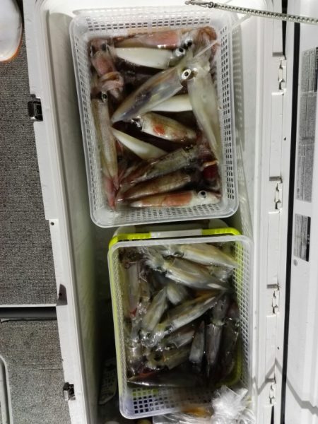 第二大福丸 釣果