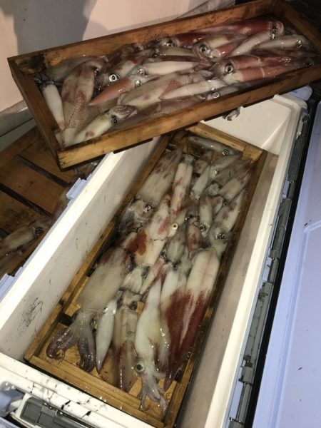 寿裕 （YOSHIHIRO） 釣果