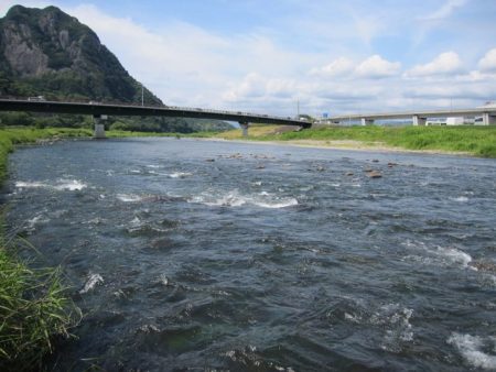 狩野川(狩野川漁業協同組合) 釣果