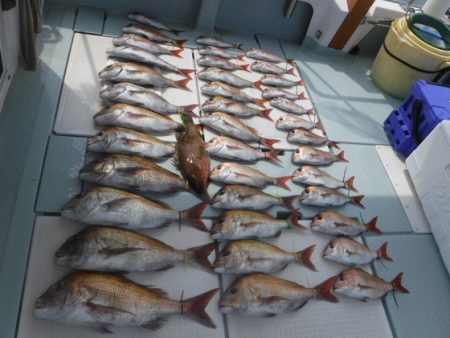 遊漁船 幸友丸 釣果