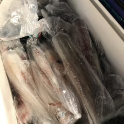 寿裕 （YOSHIHIRO） 釣果