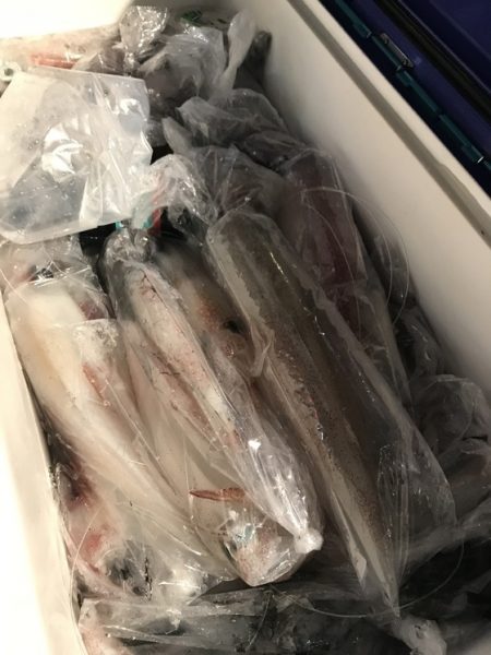 寿裕 （YOSHIHIRO） 釣果