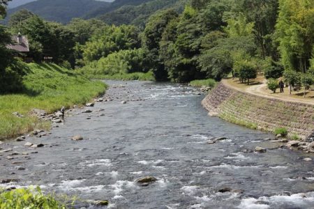 狩野川(狩野川漁業協同組合) 釣果