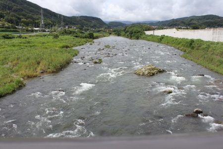 狩野川(狩野川漁業協同組合) 釣果
