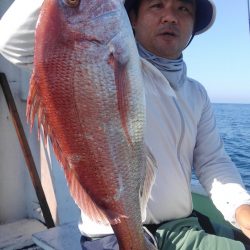 遊漁船 新鋭丸 釣果