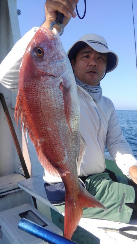 遊漁船 新鋭丸 釣果