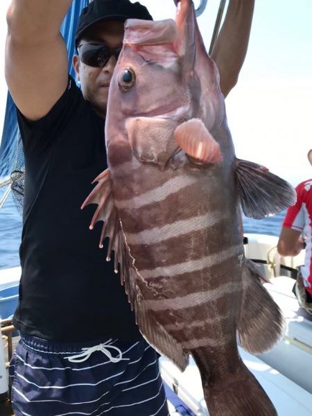 Blue.win 海人丸 釣果