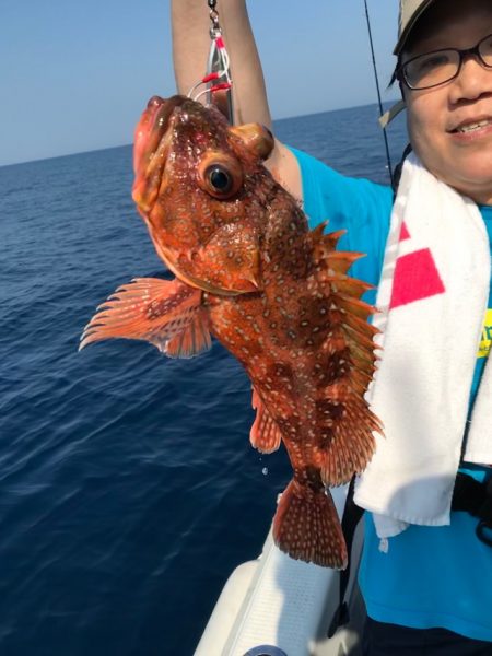 Blue.win 海人丸 釣果