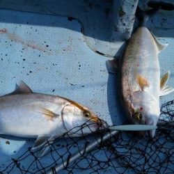 第五慶門丸 釣果