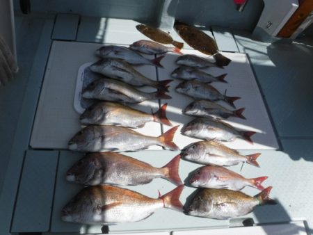 遊漁船 幸友丸 釣果