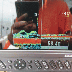 遊漁船ブルーウッズ 釣果