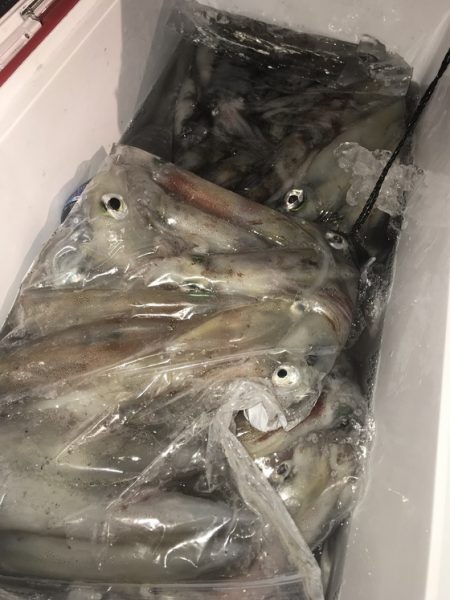 寿裕 （YOSHIHIRO） 釣果