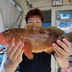 遊漁船 ニライカナイ 釣果